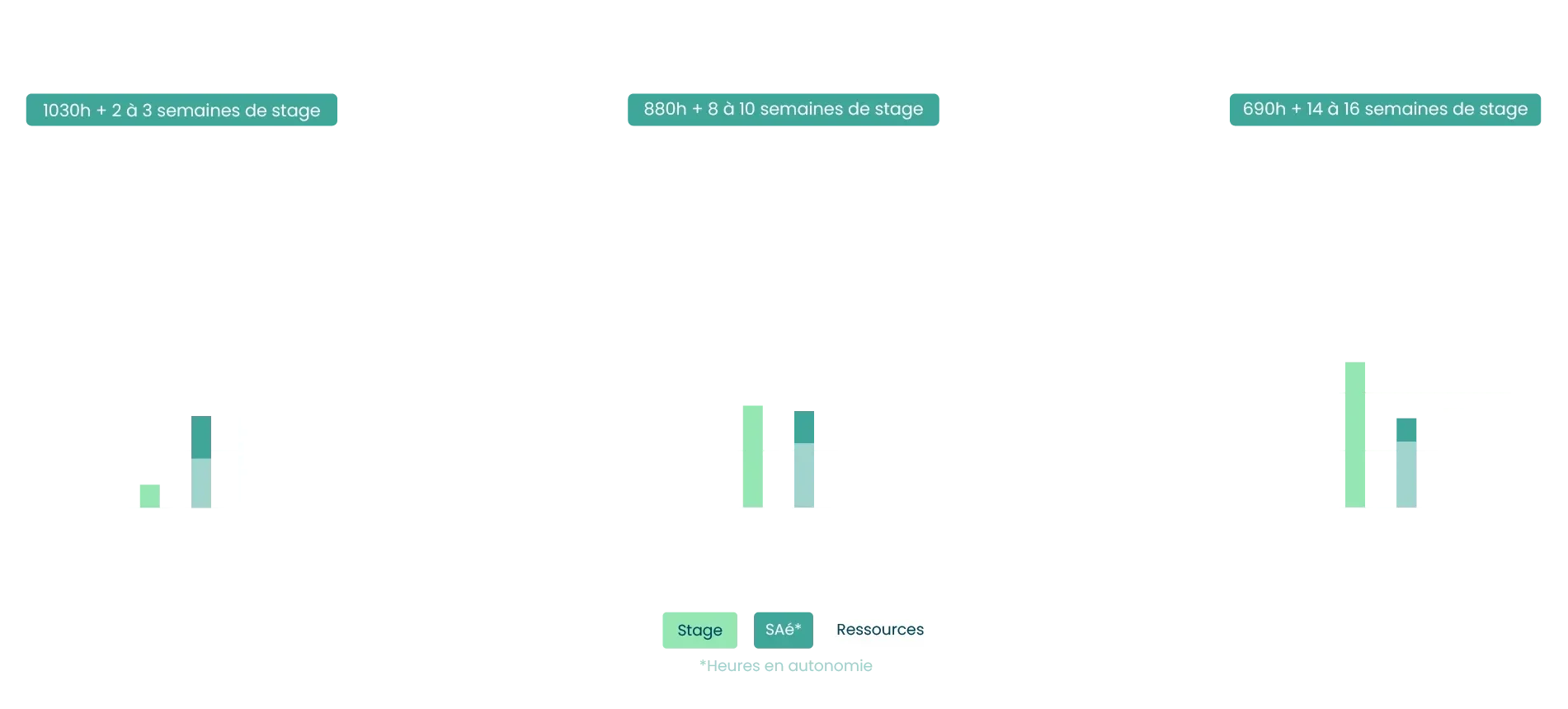 schema organisation BUT MT2E